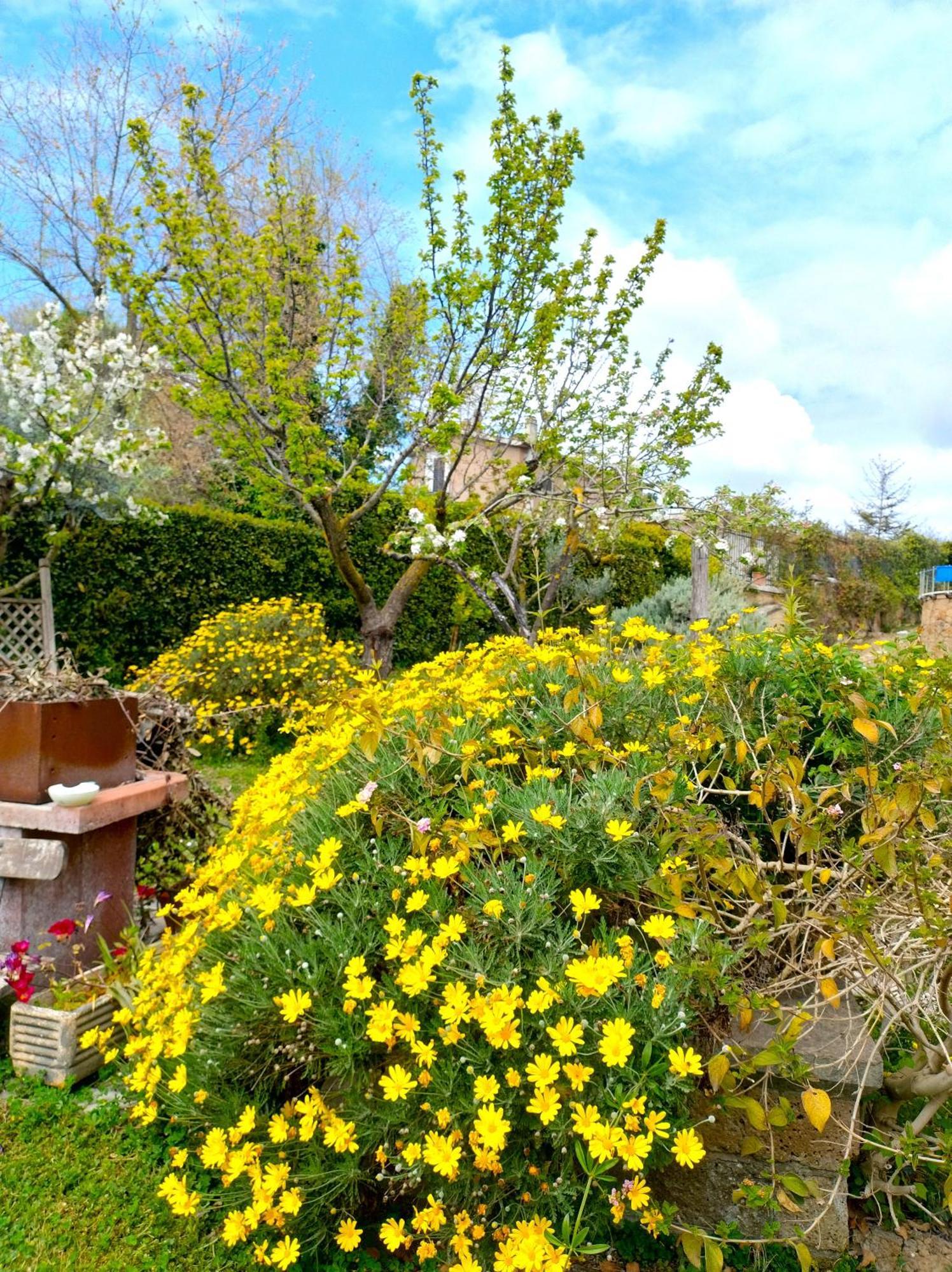 La Valle Dei Casali B&B Con Piscina E Natura A Roma Exterior foto